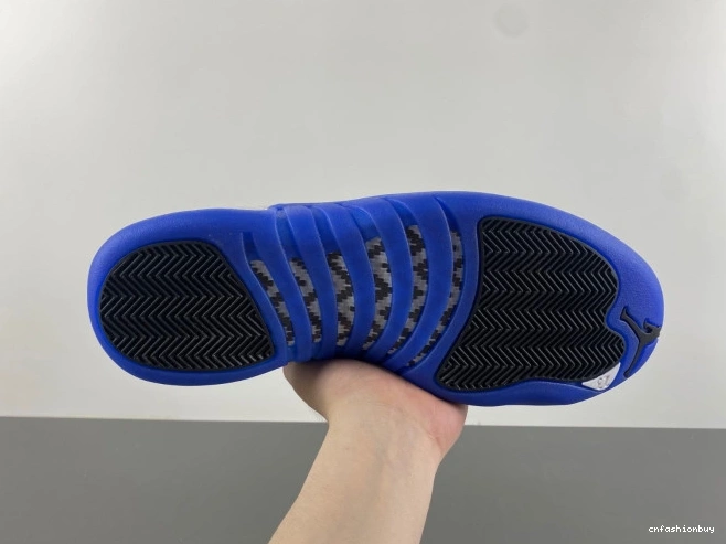 Jordan Air Blueberry 12 CT8013-140 0808